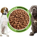 Trockenfutter für Hunde Perfecto Dog Lamm &amp; Reis 15kg